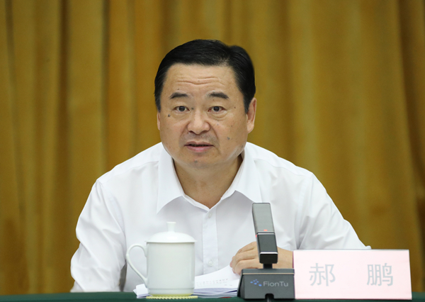 郝鵬、國資、央企、國資委、書記、主任、國企、企業(yè)改革